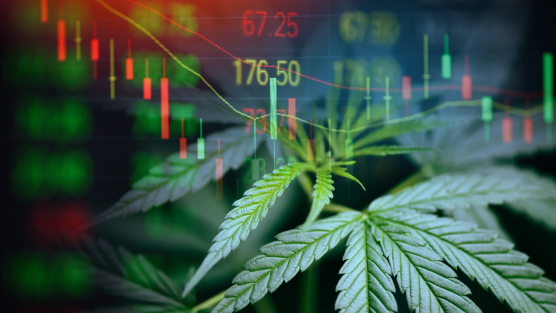 Akerna releases 2021 Cannabis Industry Year-End Review