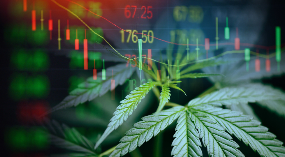 Akerna releases 2021 Cannabis Industry Year-End Review