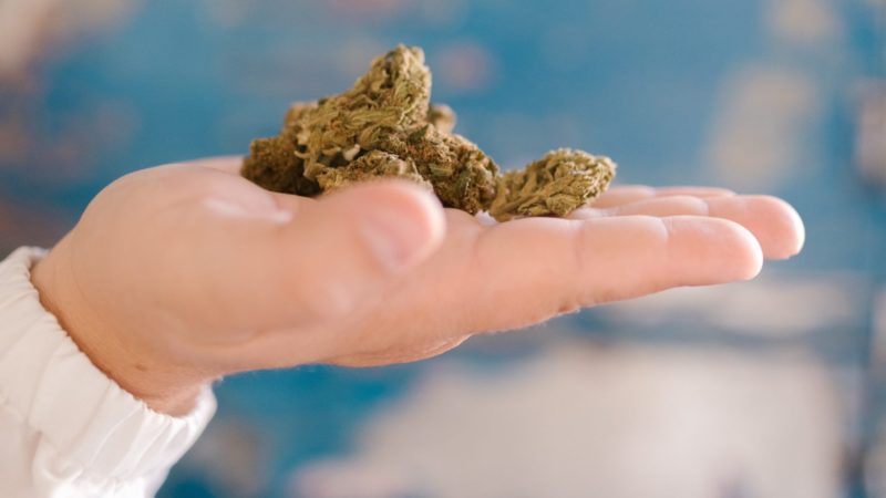 Nurses say education should take priority in medical marijuana market