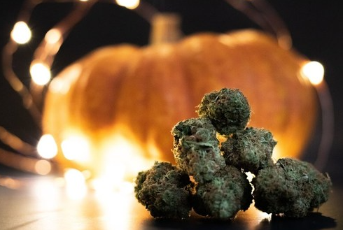 Akerna Flash Report: Halloween weekend cannabis sales total $249.6 million