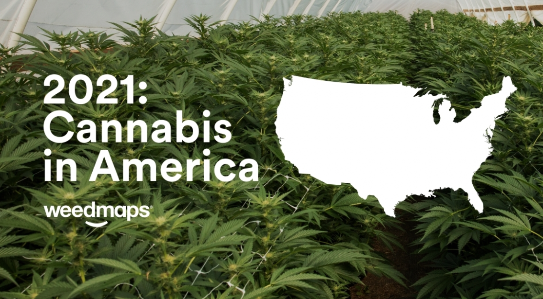 Weedmaps releases first data & insights report: Cannabis in America