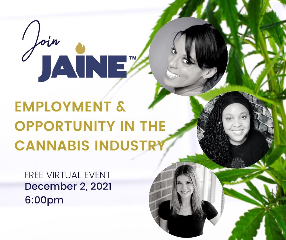 JAINE hosts free cannabis career workshop December 2