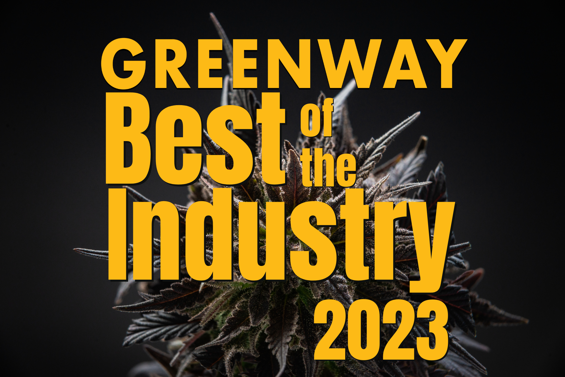 Greenway Best of the Industry Voting